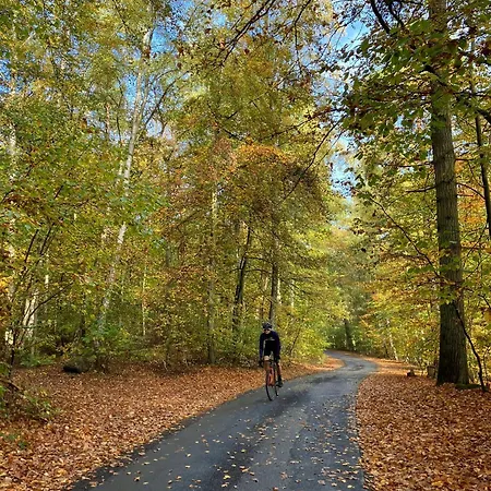 Am Schilfweg Mit Kanu *