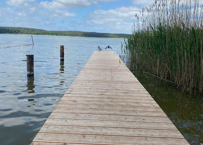 Am Schilfweg Mit Kanu
