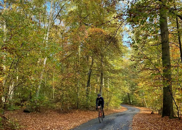 Am Schilfweg Mit Kanu *